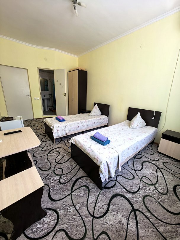 Стандартный 2-местный (TWIN)