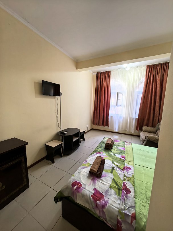 Стандартный 3-местный (двуспальная кровать и диван)