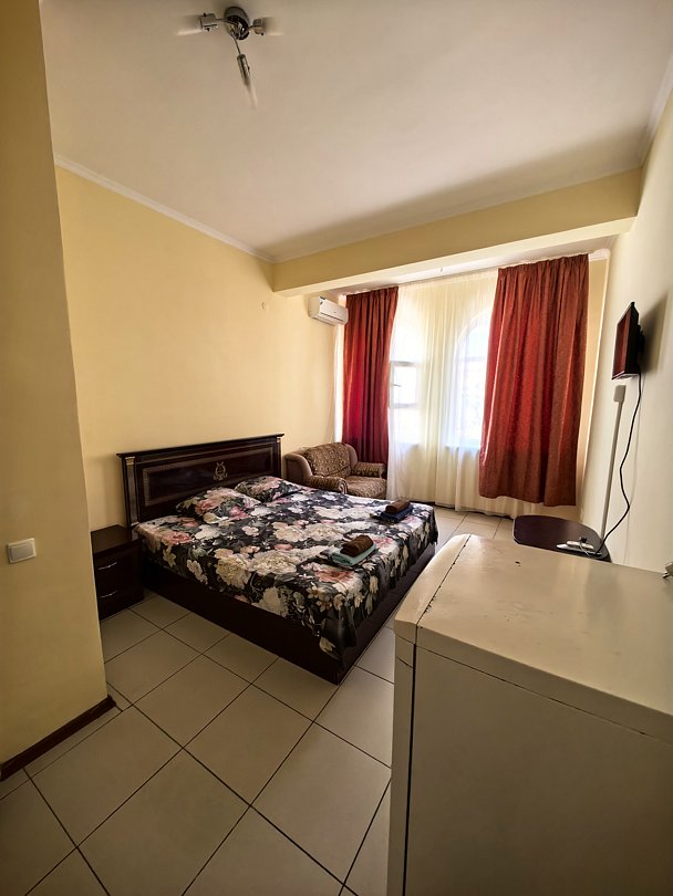 Стандартный 3-местный (двуспальная кровать и диван)