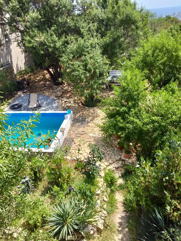 Люкс 2-местный 1-комнатный