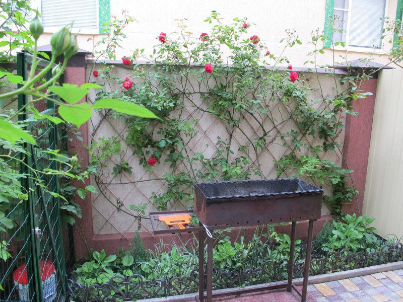 Морской прибой, Краснодарский край: фото 3