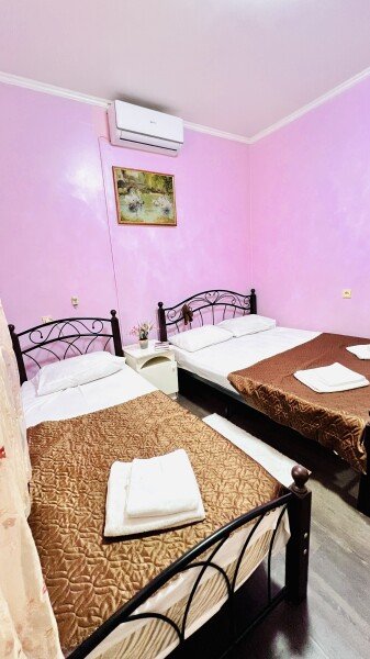 Эконом плюс 3-местный