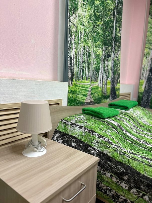 Семейный 3-местный 1-комнатный (TWIN)