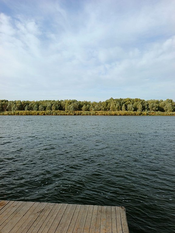 Фото из отзыва от 04.10.2025