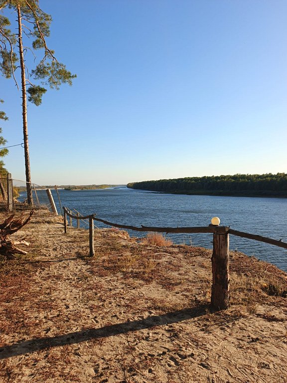 Фото из отзыва от 04.10.2025