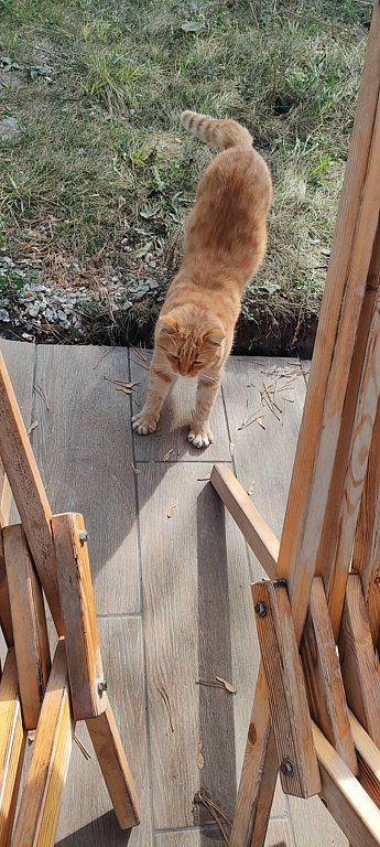 Фото из отзыва от 03.10.2025