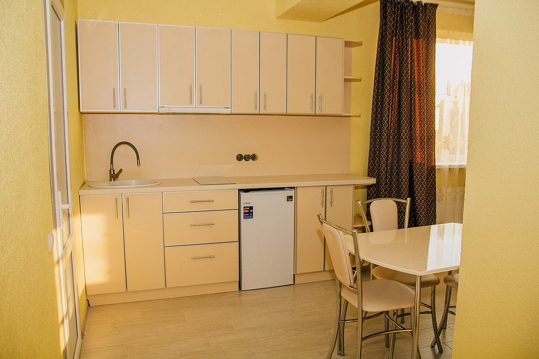 Люкс 2-местный 1-комнатный (студио, с кухней)