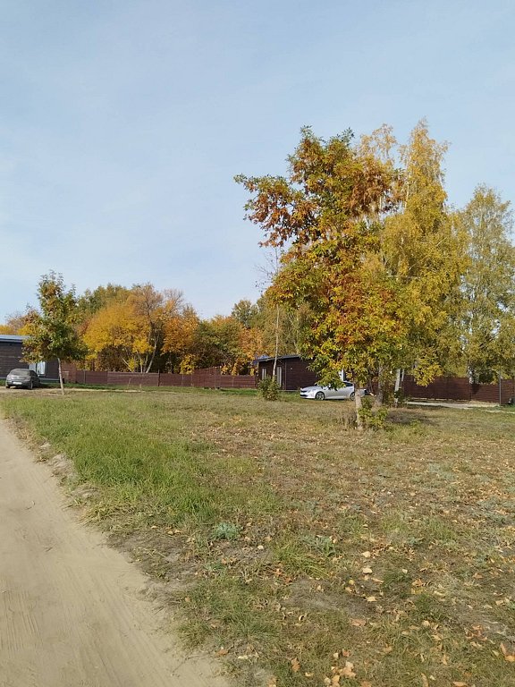 Фото из отзыва от 04.10.2025