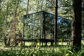 Зеркальный дом, Глэмпинг Alpen Camp, Сызранский