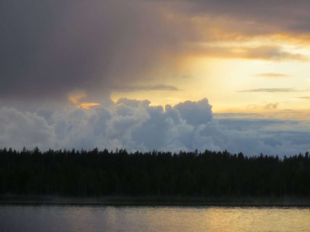 Фото из отзыва от 22.09.2025