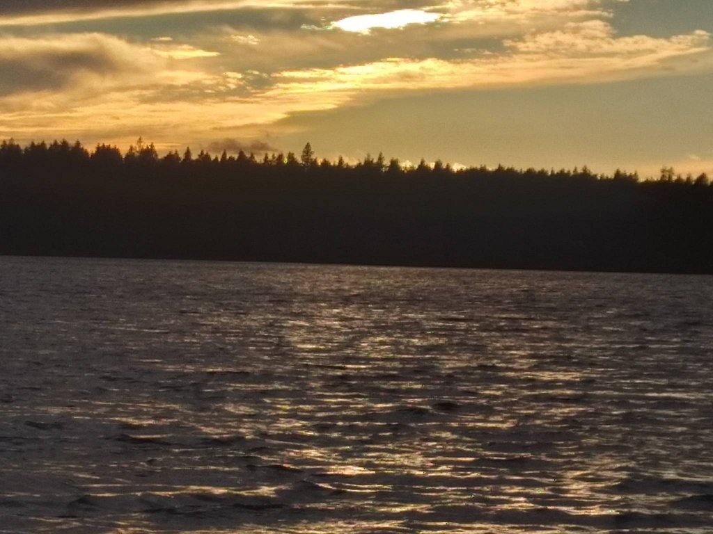 Фото из отзыва от 22.09.2025