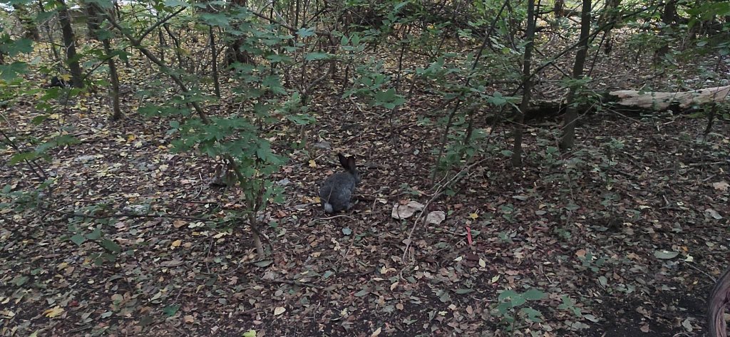 Фото из отзыва от 11.10.2025