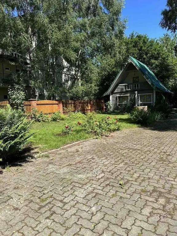 Тихий уголок в центре Светлогорска, Калининградская область: фото 4