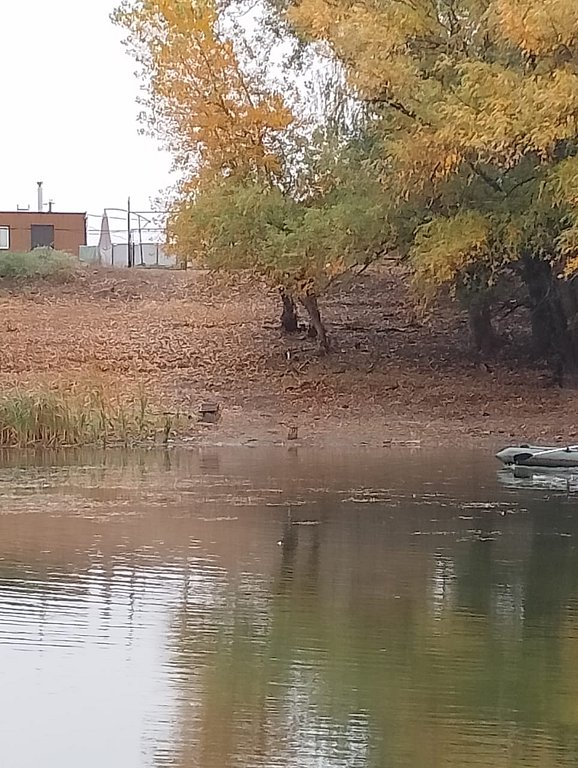 Фото из отзыва от 10.10.2025