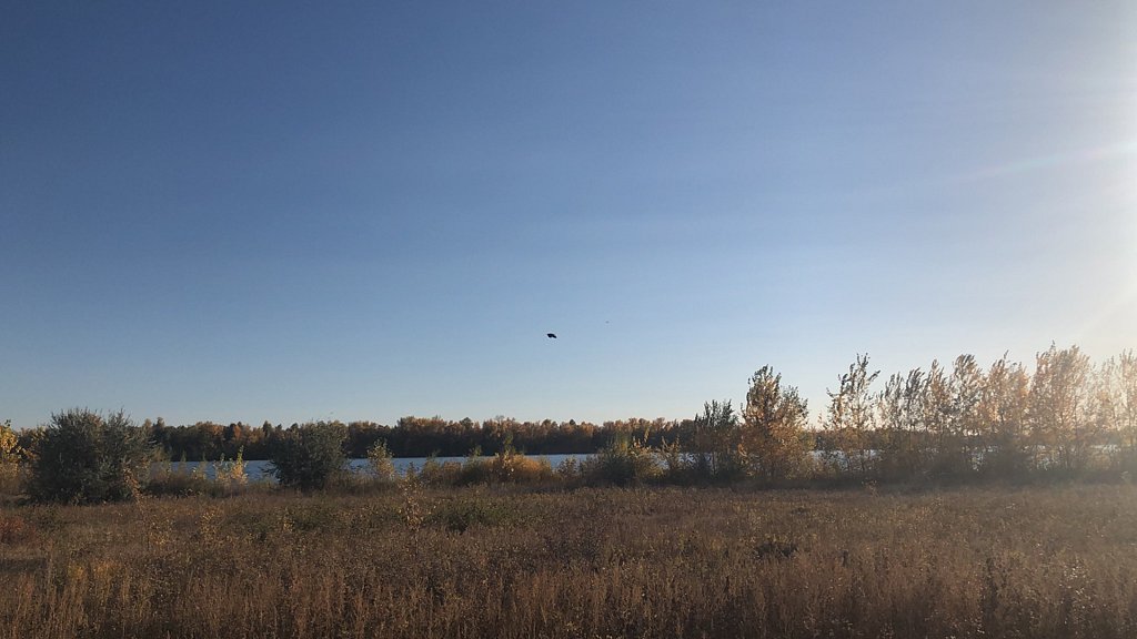 Фото из отзыва от 08.10.2025