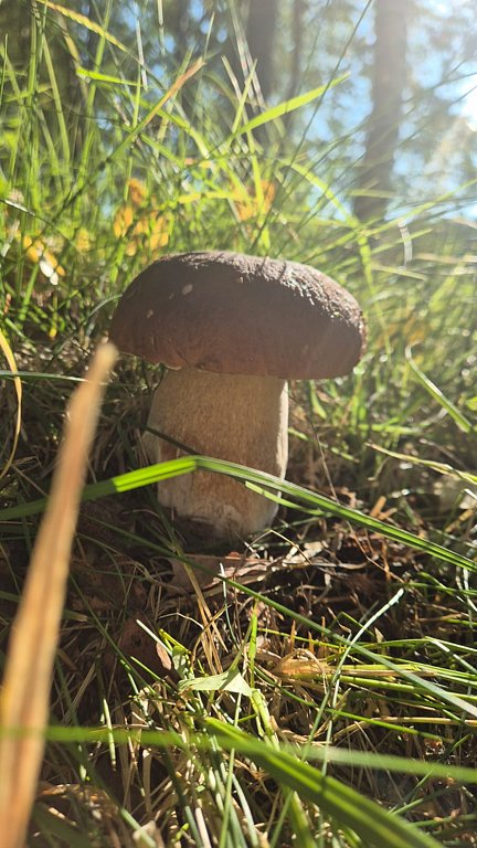 Фото из отзыва от 10.10.2025