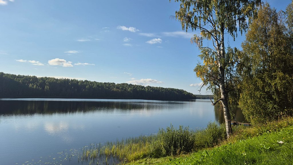 Фото из отзыва от 10.10.2025