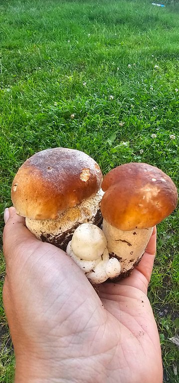 Фото из отзыва от 10.10.2025