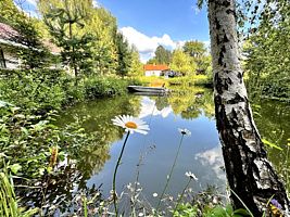 Дом Жеглово старый, База отдыха Жили-Были, деревня Андросова