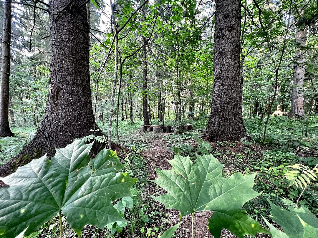 Дом 4-местный 2-комнатный (№1)