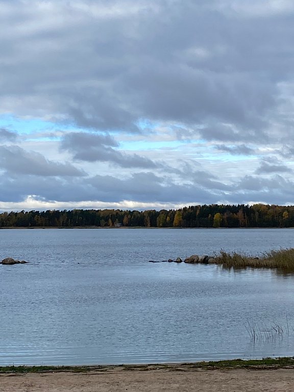 Фото из отзыва от 13.10.2025