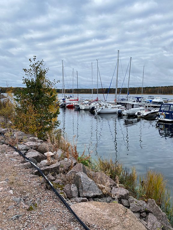 Фото из отзыва от 13.10.2025