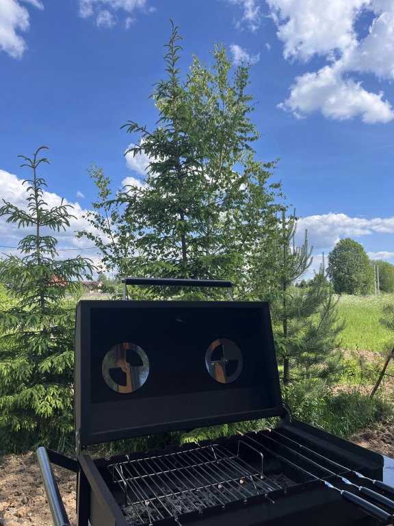 Частный дом Bird House Barn, Московская область: фото 4