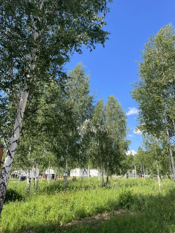 Частный дом Bird House Barn, Московская область: фото 3