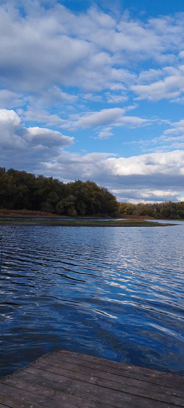 Фото 1 из отзыва о базе отдыха Мёд