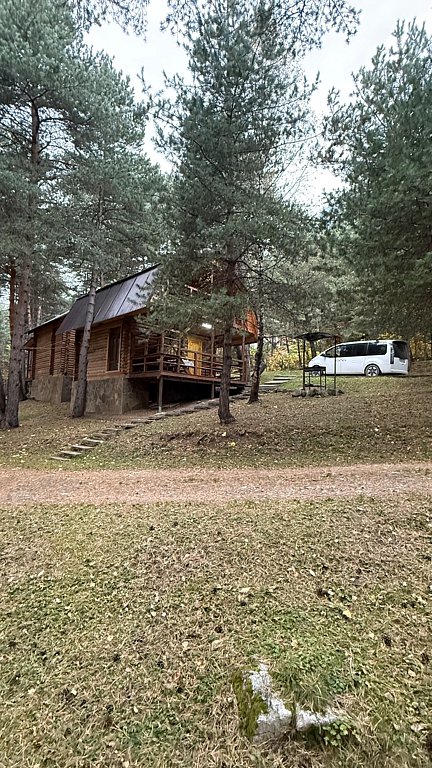 Фото из отзыва от 09.10.2025