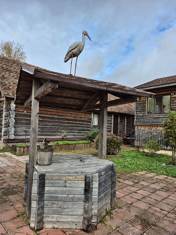 Фото из отзыва от 11.10.2025