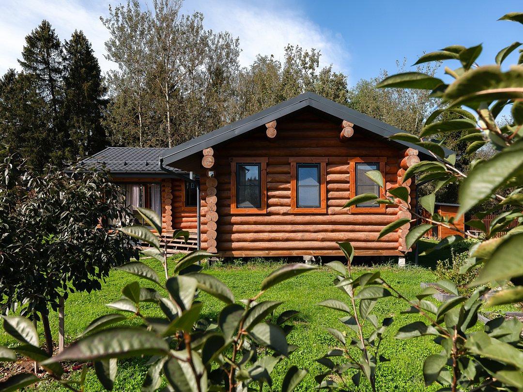 Банный дом, Московская область: фото 2