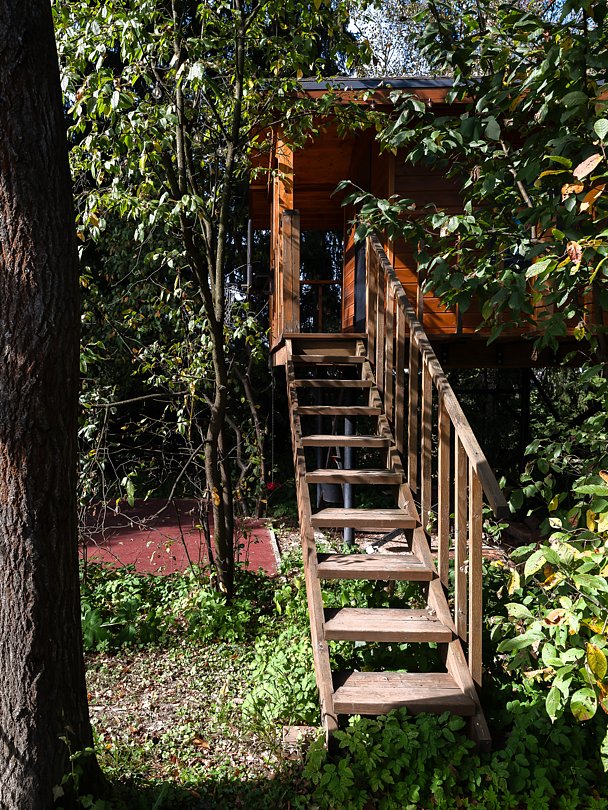 Банный дом, Московская область: фото 5