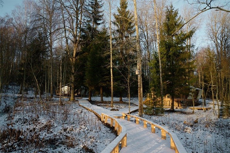 Лодж 2-местный (Лесной)