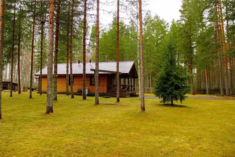 Вилла Ранду, Республика Карелия: фото 2