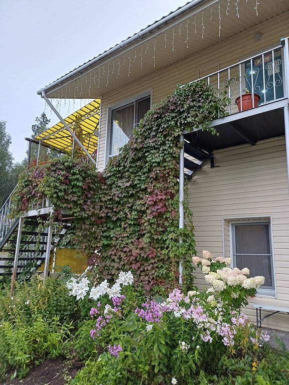 Фото из отзыва от 18.10.2025