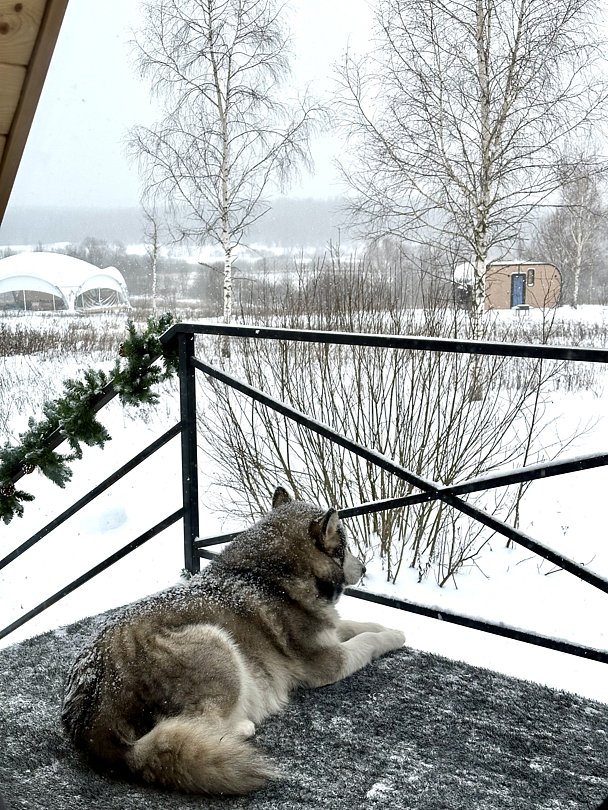 А-фрейм 4-местный