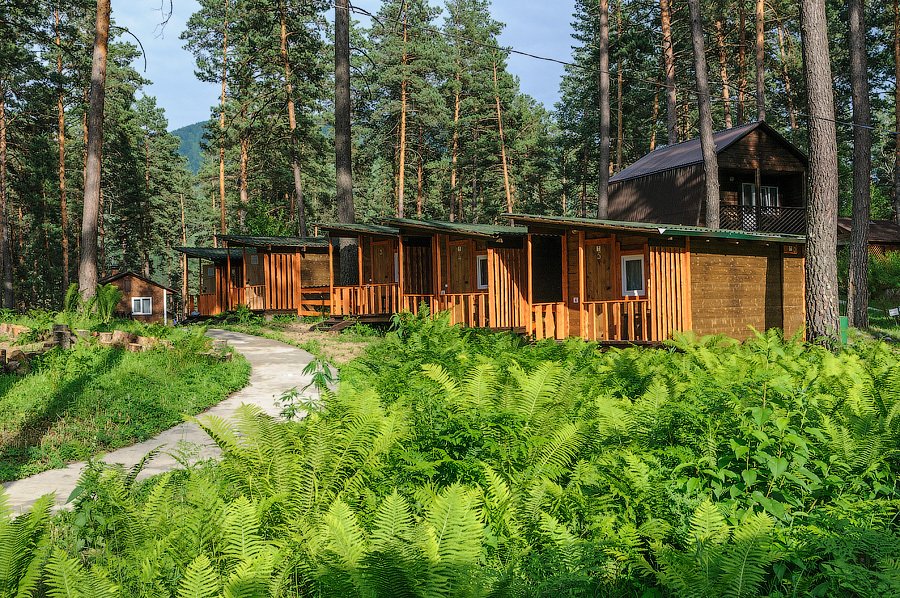 Дом 2-местный (Кедровый)