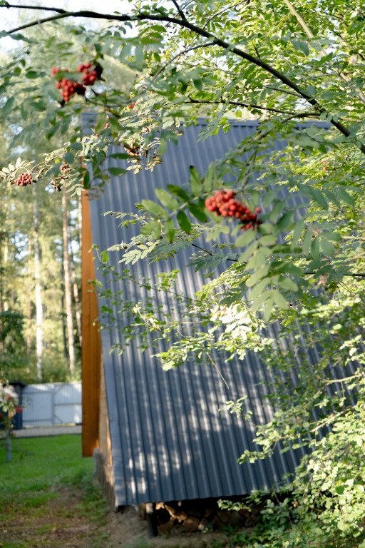 Частный дом Домуглом, Московская область: фото 5