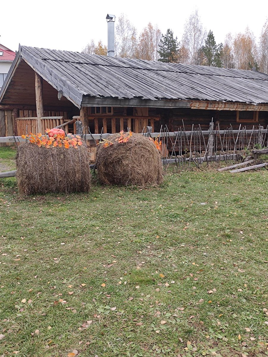 Фото 10 из отзыва о базе отдыха Философия отдыха