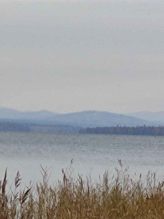 Фото из отзыва от 14.10.2025