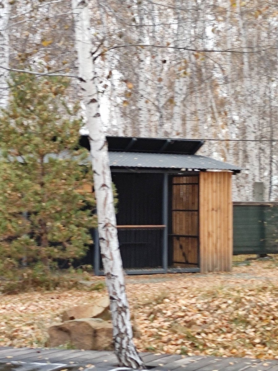 Фото 8 из отзыва о базе отдыха Философия отдыха