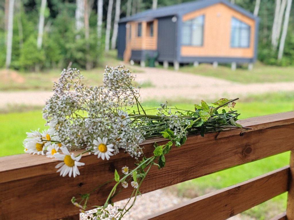 Частный дом у леса рядом озеро и река, Можайск, Московская область