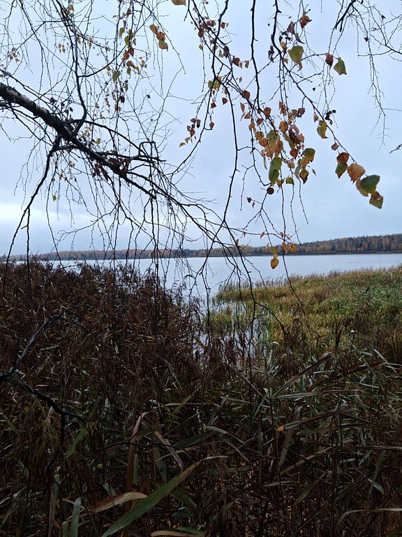 Фото из отзыва от 18.10.2025