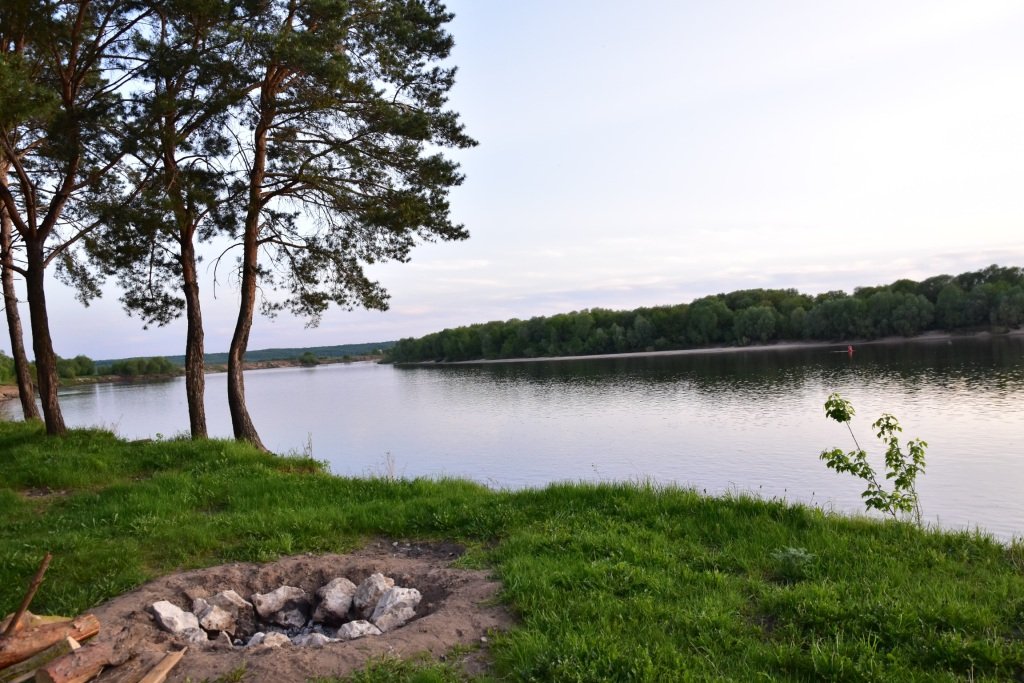 Шале Ромашки, Московская область: фото 4