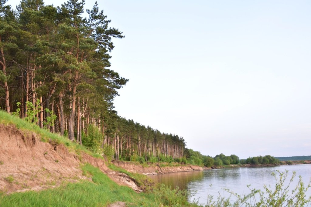 Шале Ромашки, Московская область: фото 5