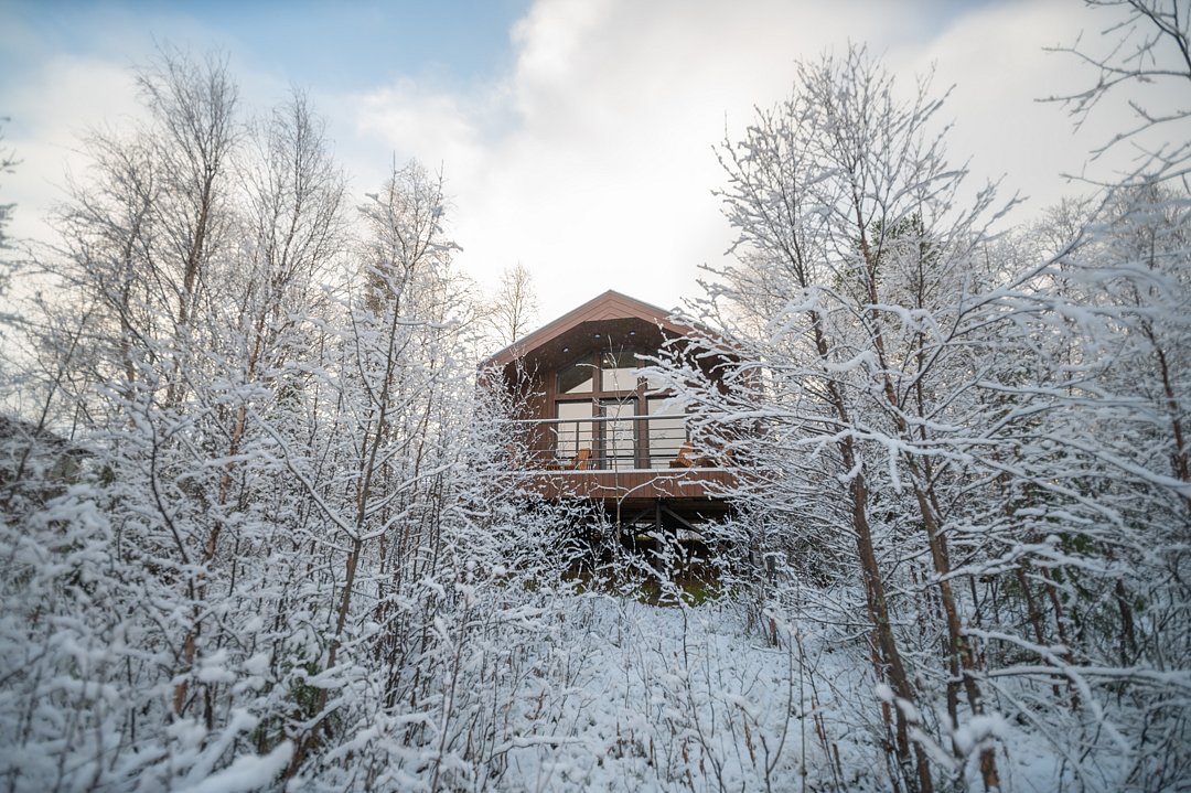 Тайга, Мурманская область: фото 2