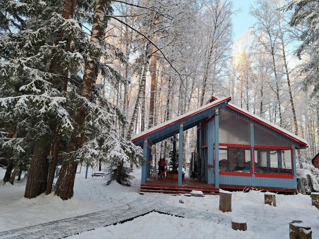 Частный дом в Заветах Ильича с розовой гостиной, Пушкино, Нижегородская область