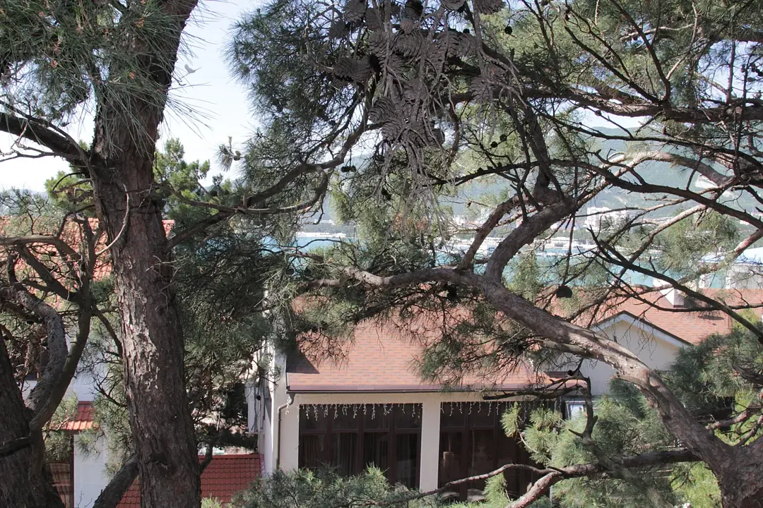 ELENI, Краснодарский край: фото 2