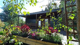 Глэмпинг Простокашино